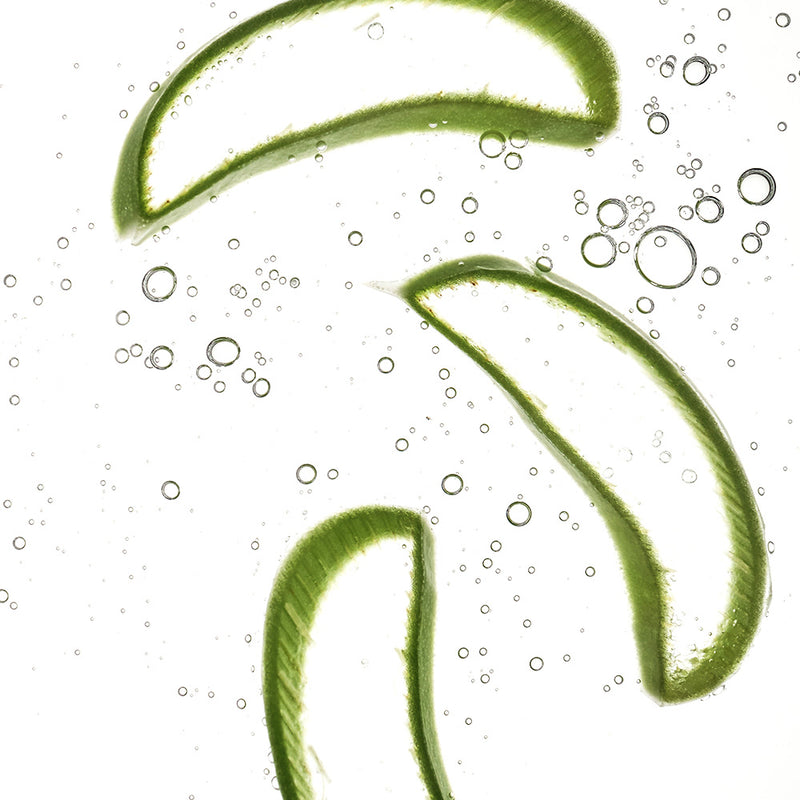 Aloe Vera Leaf Water 600,000ppm*