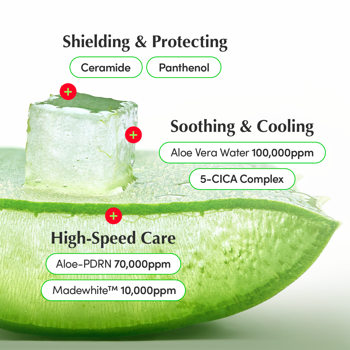 Aloe PDRN Calming Cream