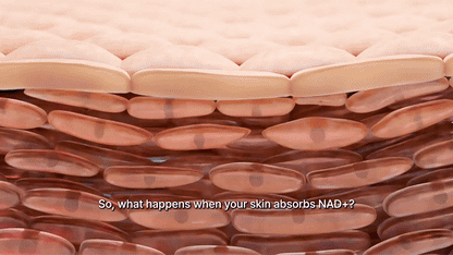 [UK Boots] NAD+ Peptide Firming Serum for Face & Neck