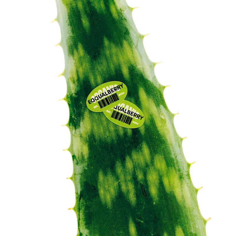 Aloe PDRN